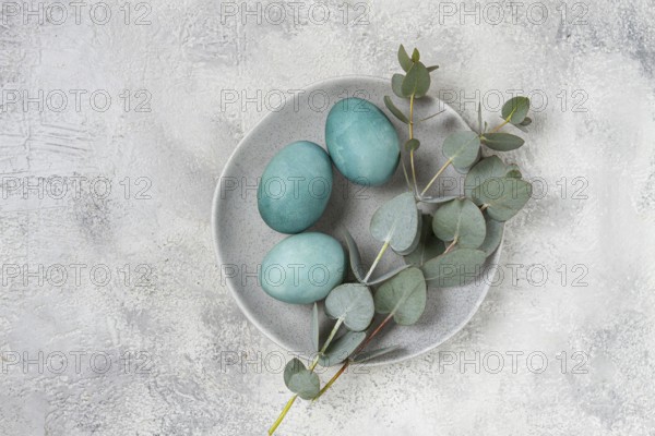 Easter colored eggs, in turquoise tones, on a gray plate, with a branch of eucalyptus, Easter card,