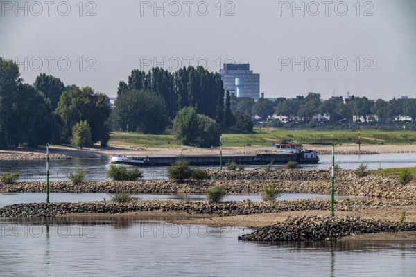 Slightly low water of the Rhine, shipping traffic on the Rhine near Düsseldorf, south of the Rhine