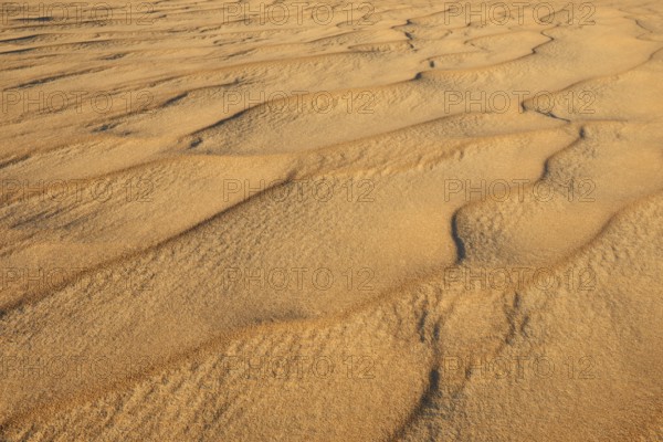 A close-up of undulating sand dunes in a desert, Matruh, Great Sand Sea, Libyan Desert, Sahara,