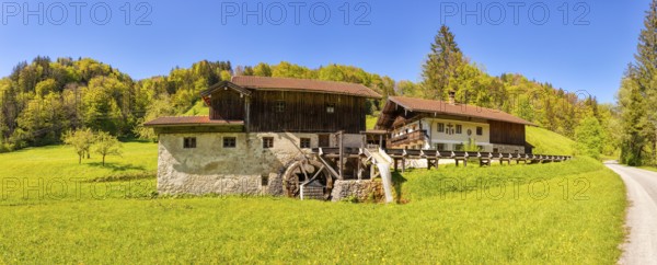 A picturesque watermill in the middle of a green landscape with a blue sky and forest in the