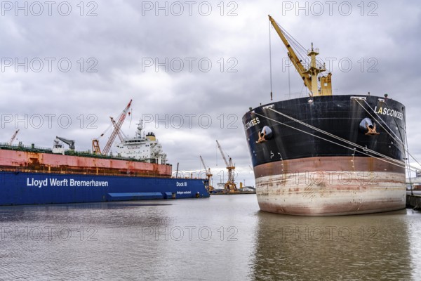 Lloyd Werft, dry dock, freighter Atlantic Journey, shipyard in the overseas harbour of Bremerhaven,
