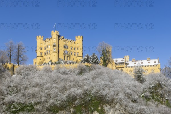 Yellow castle on a hill covered with snow, surrounded by trees under a blue sky, Hohenschwangau