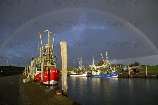 Fishing boats in the harbour of Tammensiel, rainbow, Pellworm Island, Schleswig-Holstein Wadden Sea
