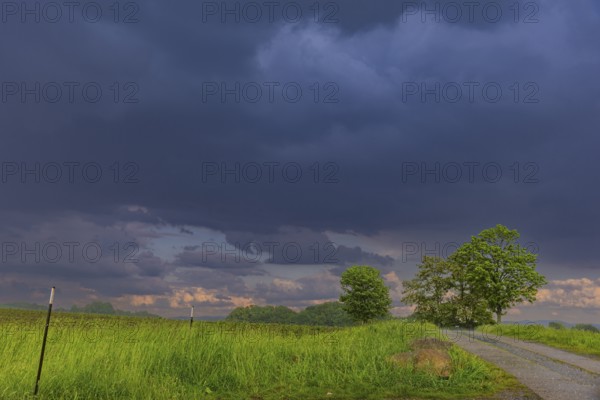 Storm on the Triebenberg near Dresden, Dresden, Saxony, Germany, Europe