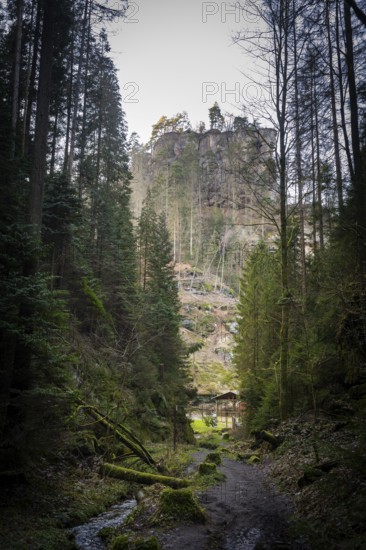 Polenztal in Saxon Switzerland, Hohnstein, Saxony, Germany, Europe