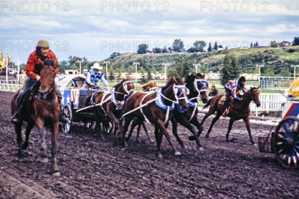 Calgary Exhibition and Stampede, Canada in the late 1970s or early 1980s Chuckwagon Race