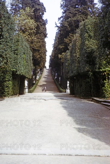 Viale dei Cipressi, Cypress Avenue, Viottolone Boulevard, Boboli Gardens, Florence, Tuscany, Italy