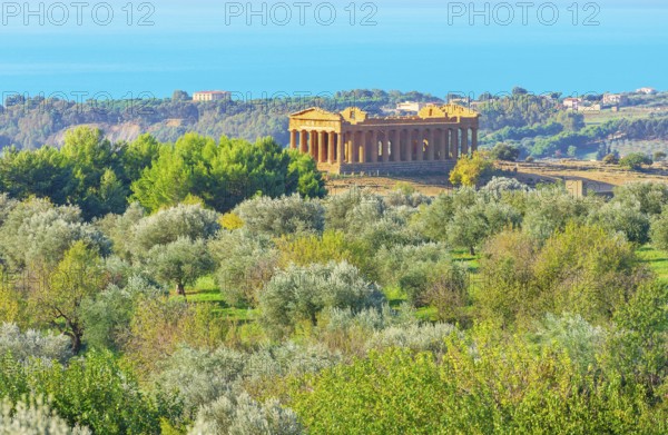 Concordia temple, Valley of Temples, Agrigento, Sicily, Italy, Europe