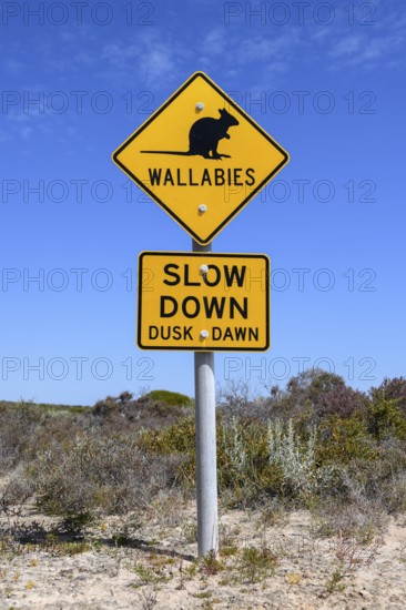 Beware of wallabies sign, Dirk Hartog Island National Park, named after the Dutch navigator of the