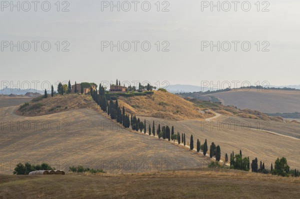 Typical Tuscan landscape in Crete Senesi with hills, trees, fields, cypresses and farm road in