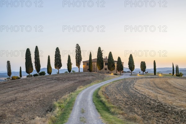 Tuscany landscape with cypresses and farmstead at sunrise, dawn, 'Podere Cipressini', San Quirico