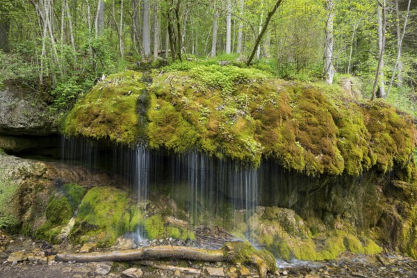 Moss-covered rocks and waterfall, Wutach Gorge, Bonndorf, Baden-Württemberg, Black Forest, Germany,