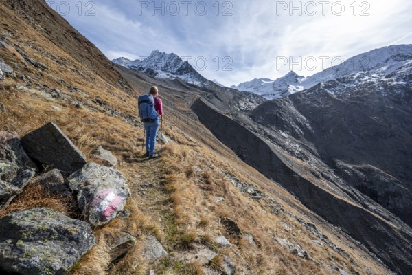 Mountaineer on a hiking trail in Niedertal, snow-covered mountain peaks of the Ötztal Alps with