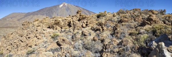 Panorama over the Teide National Park, Parque Nacional del Teide, to Pico del Teide, 3715m,