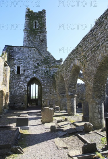 Historic ruins of Timoleague Friary, County Cork, Ireland, Irish Republic, Europe