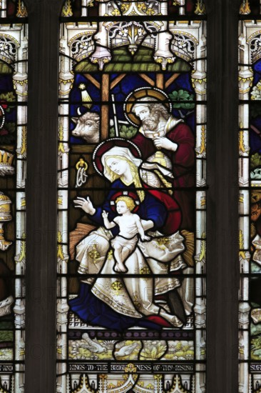Church of Saints Peter and Paul, Pettistree, Suffolk, England, UK stained glass window birth of