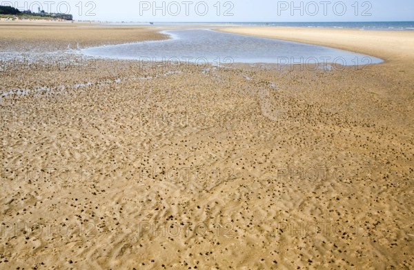 Worm casts in muddy sediment on the beach at Hunstanton, north Norfolk coast, England, United