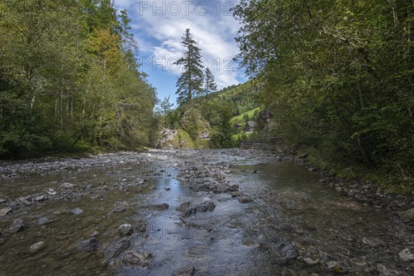 Rappenloch Gorge Natural Monument, Dornbirner Ach, Dornbirn, Bregenzerwald, Austria, Europe