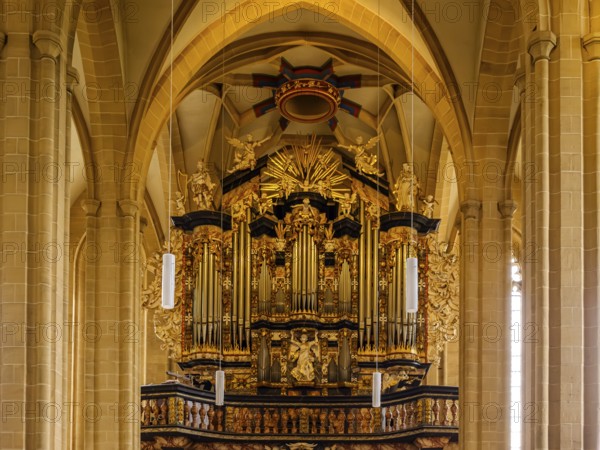 Organ by Johannes Klais in the baroque case by Johann Friedrich Wender, interior photograph of the