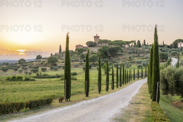 Road leading to the Palazzo massaini at sunset, Unesco world heritage site Val d´Orcia, Italy,