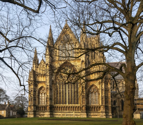 East frontage Lincoln cathedral church winter morning light viewed through tree branches, city of