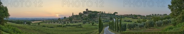 Road leading to the Palazzo massaini at sunset, Unesco world heritage site Val d´Orcia, Italy,