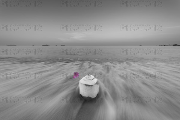 Coconut at sunrise on the beach, Koh Changi Island, Andaman Sea, Southern Thailand, Thailand, Asia