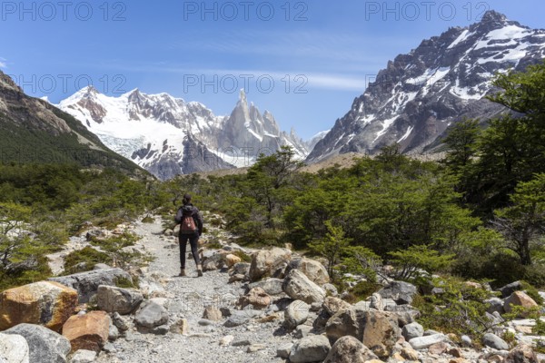 Young woman on the way to laguna torre, Mount Cerro Torre, Laguna Torre Trail, El Chaltén, Santa