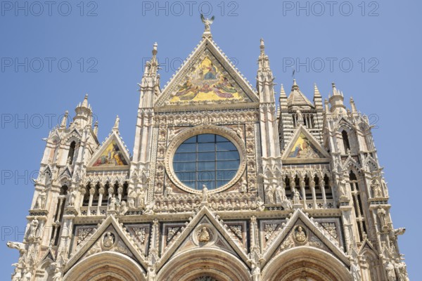 Cathedral of Siena, Cattedrale di Santa Maria Assunta, main church of the city of Siena, Tuscany,