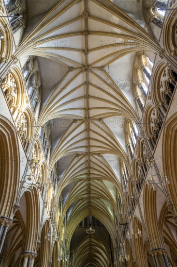 Vaulted nave ceiling roof of medieval Lincoln cathedral interior, city of Lincoln, Lincolnshire,