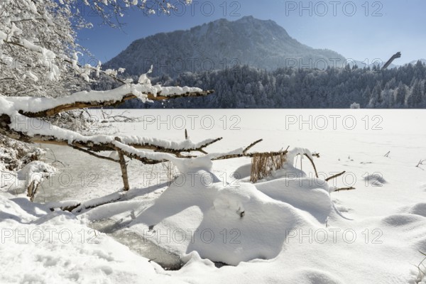 Freibergsee in winter, near Oberstdorf, behind it the Himmelschrofen, 1791m, and the Heini-Klopfer