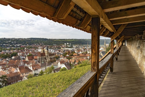 View from the city wall of the castle over vineyard to Esslingen am Neckar, Baden-Württemberg,