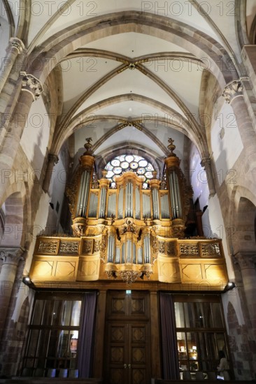 The Lutheran Church of St Thomas, Église Saint Thomas de Strasbourg, Alsace, Imposing organ behind