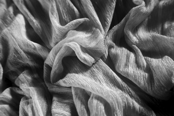 Black and White Textile Clothes Fabric Saree India Asia Sept 2011
