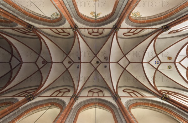 Nave, view into the vault, St., Sankt, Saint