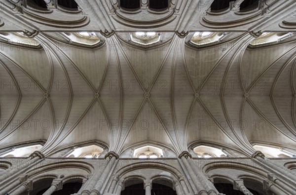 Christchurch Priory, vaults in the nave