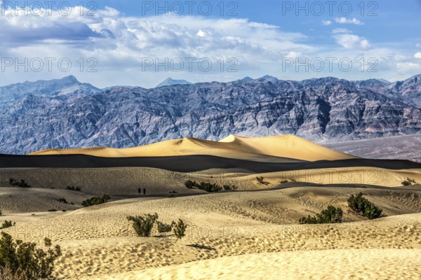 Hiker in the Mesquite Dunes, Death Valley National Park, California, USA, North America