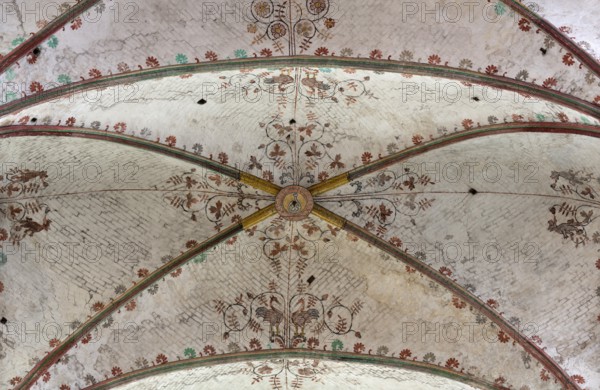 Vault in the nave, St., Sankt, Saint