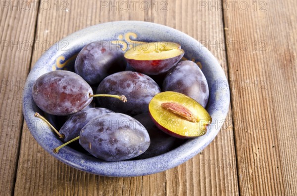 Prunus domestica