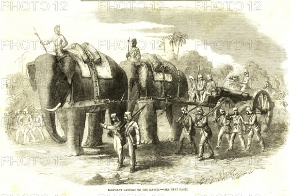 Military and munity mutiny views elephant battery on march, India, Asia
