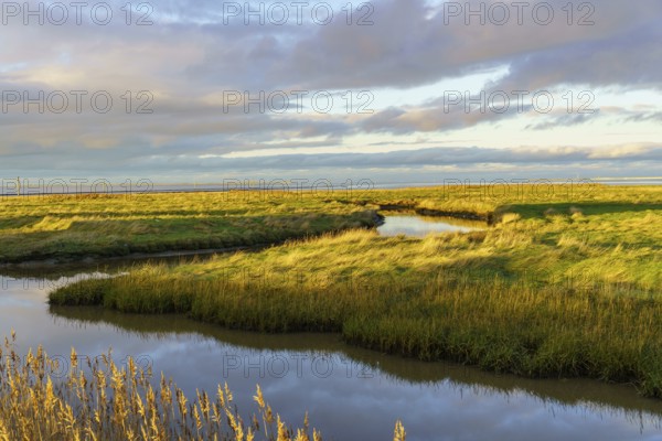 River winds through a green landscape, clouds are reflected in the water, wangerooge, east frisia,