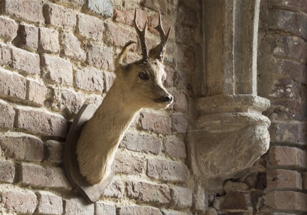 North wing of the cloister, console with depiction of a nun and roebuck