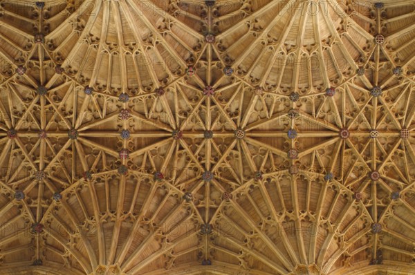 Vaults in the nave, St., Saint, Saint