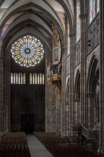Strasbourg Cathedral, Cathédrale Notre-Dame de Strasbourg, interior, view to the west with the