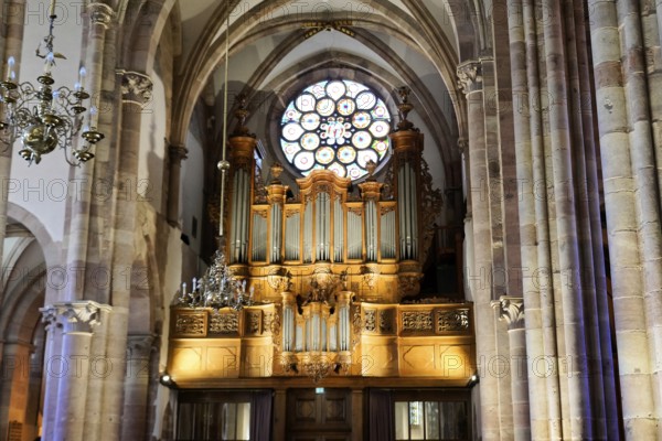 The Lutheran Church of St. Thomas, Église Saint Thomas de Strasbourg, Alsace, Sublime organ with a