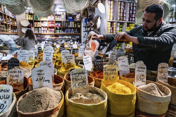 Salesman, spices, oriental spice trade in Noailles, Marseille, France, Europe