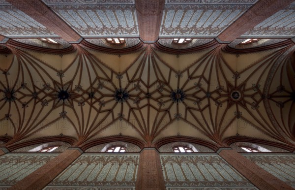 Former Cistercian church, central nave vault, St., Sankt, Saint