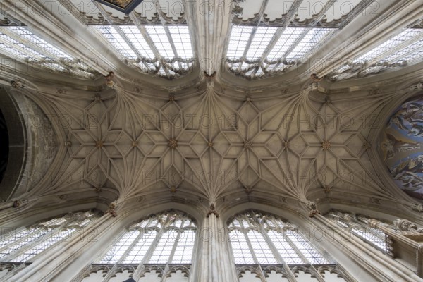 Christchurch Priory, vault in the choir