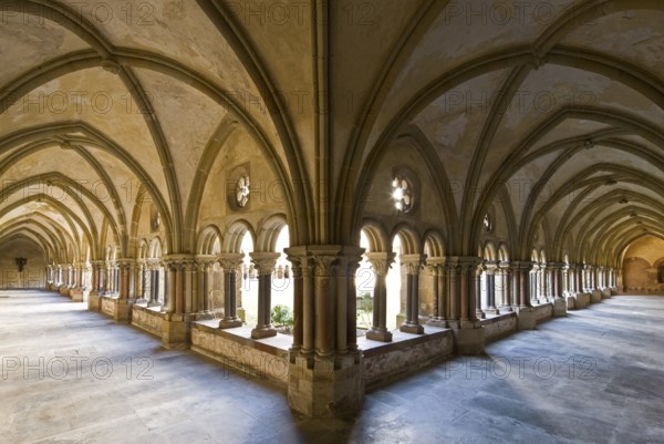 Cloister, St., Saint, Saint