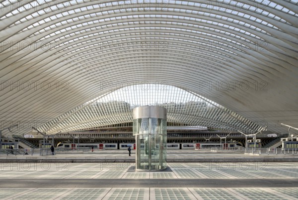 Liège, Liège-Guillemins railway station, design 2009 Santiago Calatrava, station concourse